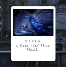 Load image into Gallery viewer, PURECO™ Paint Silk Finish - Raven
