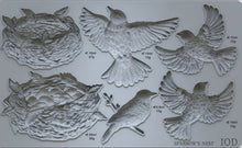 Load image into Gallery viewer, NEW IOD Moulds™ SPARROWS NEST