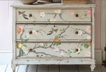 Load image into Gallery viewer, Q2 Menagerie Decor Transfer