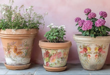 Load image into Gallery viewer, Q2 Saint Germain Decor Transfer