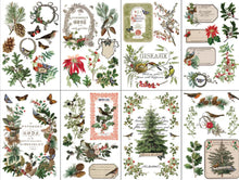 Load image into Gallery viewer, NEW! IOD Transfer Pad - WINTER BOTANIST (set of eight 8"x12" sheets)