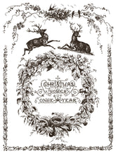 Load image into Gallery viewer, IOD PAINT INLAY TWELTH NIGHT