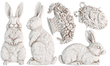 Load image into Gallery viewer, Q1 RELEASE Les Lapins Decor Mould