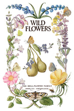 Load image into Gallery viewer, NEW! IOD Transfer Pad - PRIMROSE ISLE (set of eight 8"x12" sheets)