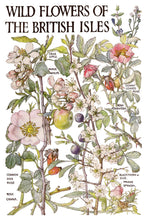 Load image into Gallery viewer, NEW! IOD Transfer Pad - PRIMROSE ISLE (set of eight 8"x12" sheets)