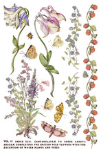 Load image into Gallery viewer, NEW! IOD Transfer Pad - PRIMROSE ISLE (set of eight 8"x12" sheets)