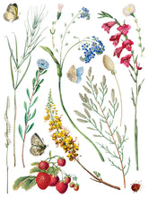 Load image into Gallery viewer, NEW! IOD Transfer Pad - MARCHE DES FLEURS (set of eight 12"x16" sheets)