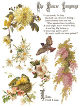 Load image into Gallery viewer, NEW! IOD Transfer Pad - FLOWERS BY THE POETS (set of eight 12"x16" sheets)