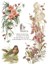 Load image into Gallery viewer, NEW! IOD Transfer Pad - FLOWERS BY THE POETS (set of eight 12"x16" sheets)