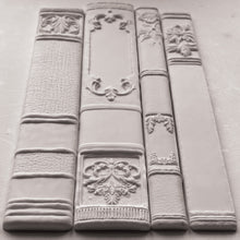 Load image into Gallery viewer, Q2 NEW RELEASE Bookish Decor Mould
