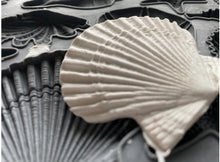 Load image into Gallery viewer, IOD Mould - SEA SHELLS (6"x10", 15.24cm x 25.4cm)
