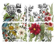 Load image into Gallery viewer, MIDNIGHT GARDEN Transfer Pad by IOD (set of four 12"x16" sheets)