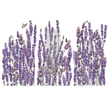 Load image into Gallery viewer, Redesign transfer Champs De Lavende
