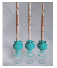 Load image into Gallery viewer, Eco Brush with Brush Keeper