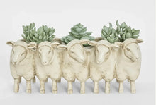 Load image into Gallery viewer, Sheep planter
