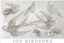 Load image into Gallery viewer, BIRDSONG Mould by IOD (6&quot; x 10&quot;, 15.24cm x 25.4cm)

