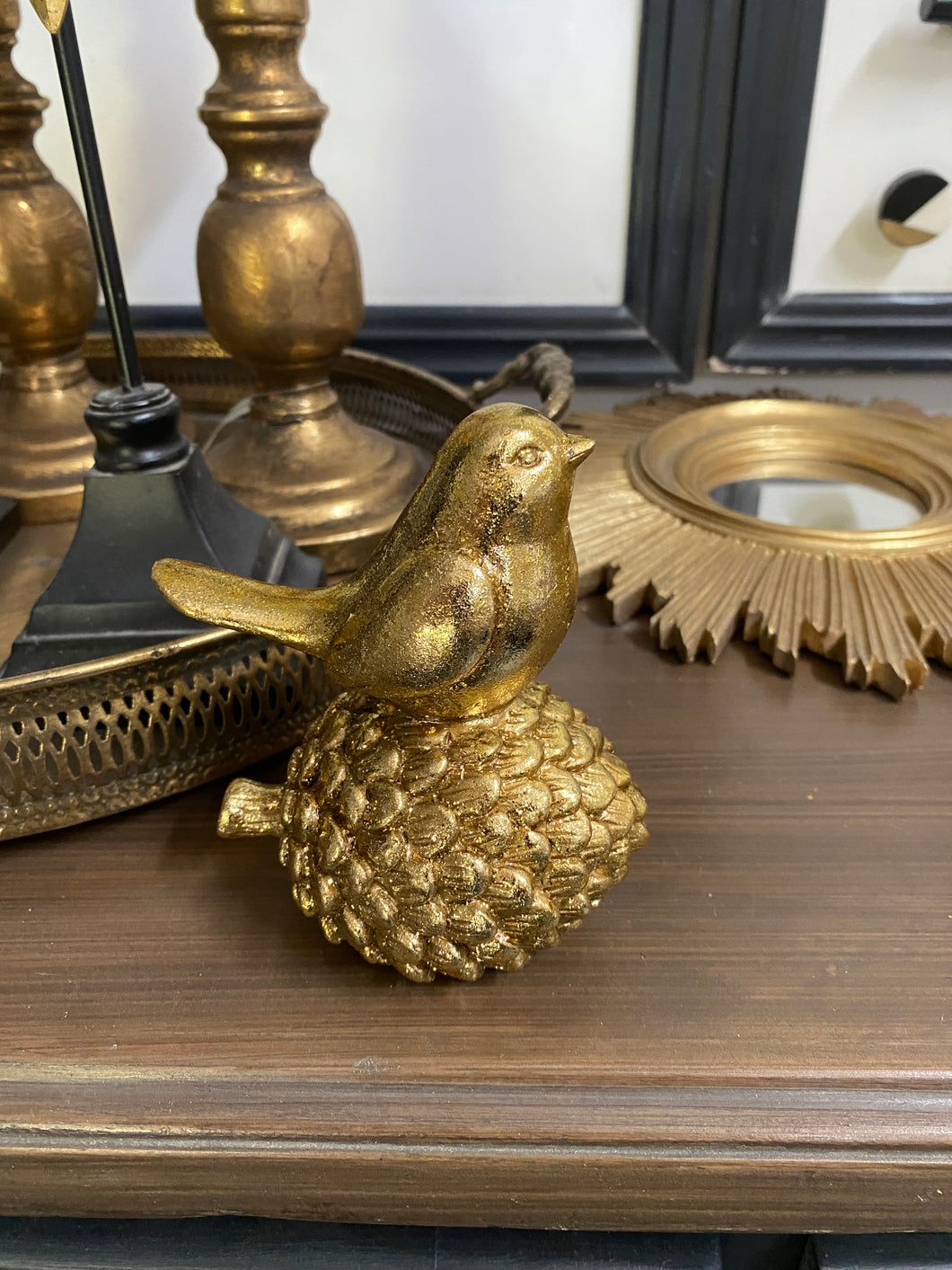 Bird on pinecone