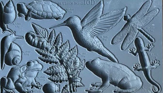 DEWDROP POND Mould by IOD (6