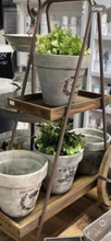 Load image into Gallery viewer, Workshop Vintage Toolbox / French pots 4th Feb 2024
