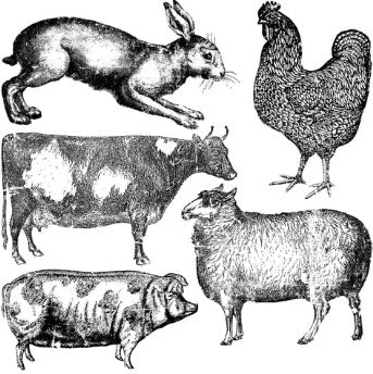 FARM ANIMALS Stamp by IOD (12