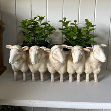 Load image into Gallery viewer, Sheep planter
