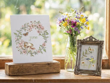 Load image into Gallery viewer, NEW! IOD Transfer Pad - THE BRAMBLEWOOD DIARIES (set of eight 8"x12" sheets)
