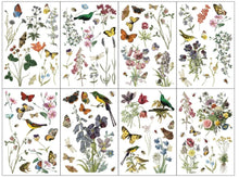 Load image into Gallery viewer, IOD Transfer Pad - WILDE BLOEMEN
