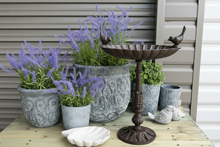 Load image into Gallery viewer, Cast iron bird bath
