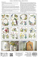 Load image into Gallery viewer, Q1 RELEASE Flora Greca Decor Transfer
