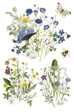 Load image into Gallery viewer, Q1 RELEASE Flora Greca Decor Transfer
