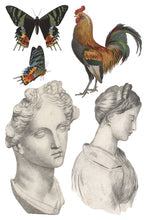 Load image into Gallery viewer, Q1 RELEASE Saint Ouen Decor Transfer
