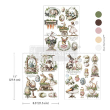 Load image into Gallery viewer, New Redesign middy transfer Garden whimsy
