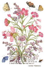Load image into Gallery viewer, NEW! IOD Transfer Pad - PRIMROSE ISLE (set of eight 8"x12" sheets)
