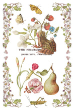 Load image into Gallery viewer, NEW! IOD Transfer Pad - PRIMROSE ISLE (set of eight 8"x12" sheets)
