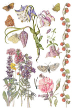 Load image into Gallery viewer, NEW! IOD Transfer Pad - PRIMROSE ISLE (set of eight 8"x12" sheets)
