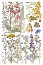 Load image into Gallery viewer, NEW! IOD Transfer Pad - PRIMROSE ISLE (set of eight 8"x12" sheets)
