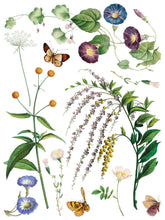 Load image into Gallery viewer, NEW! IOD Transfer Pad - MARCHE DES FLEURS (set of eight 12"x16" sheets)

