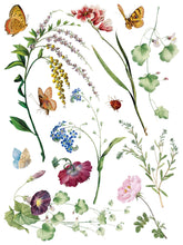 Load image into Gallery viewer, NEW! IOD Transfer Pad - MARCHE DES FLEURS (set of eight 12"x16" sheets)
