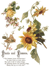 Load image into Gallery viewer, NEW! IOD Transfer Pad - FLOWERS BY THE POETS (set of eight 12"x16" sheets)
