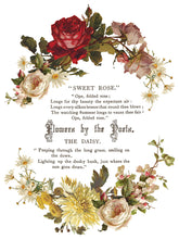 Load image into Gallery viewer, NEW! IOD Transfer Pad - FLOWERS BY THE POETS (set of eight 12"x16" sheets)
