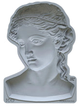 Load image into Gallery viewer, OD Mould - PERSEPHONE (5"x7", 12.7cm x 17.78cm, extra deep)
