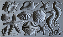 Load image into Gallery viewer, IOD Mould - SEA SHELLS (6"x10", 15.24cm x 25.4cm)
