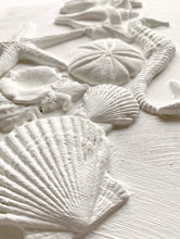 Load image into Gallery viewer, IOD Mould - SEA SHELLS (6"x10", 15.24cm x 25.4cm)
