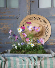 Load image into Gallery viewer, Jeanne d’Arc living magazine 5th  issue 2026
