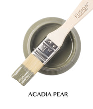 Load image into Gallery viewer, FUSION™ Mineral Paint - Acadia Pear 500ml

