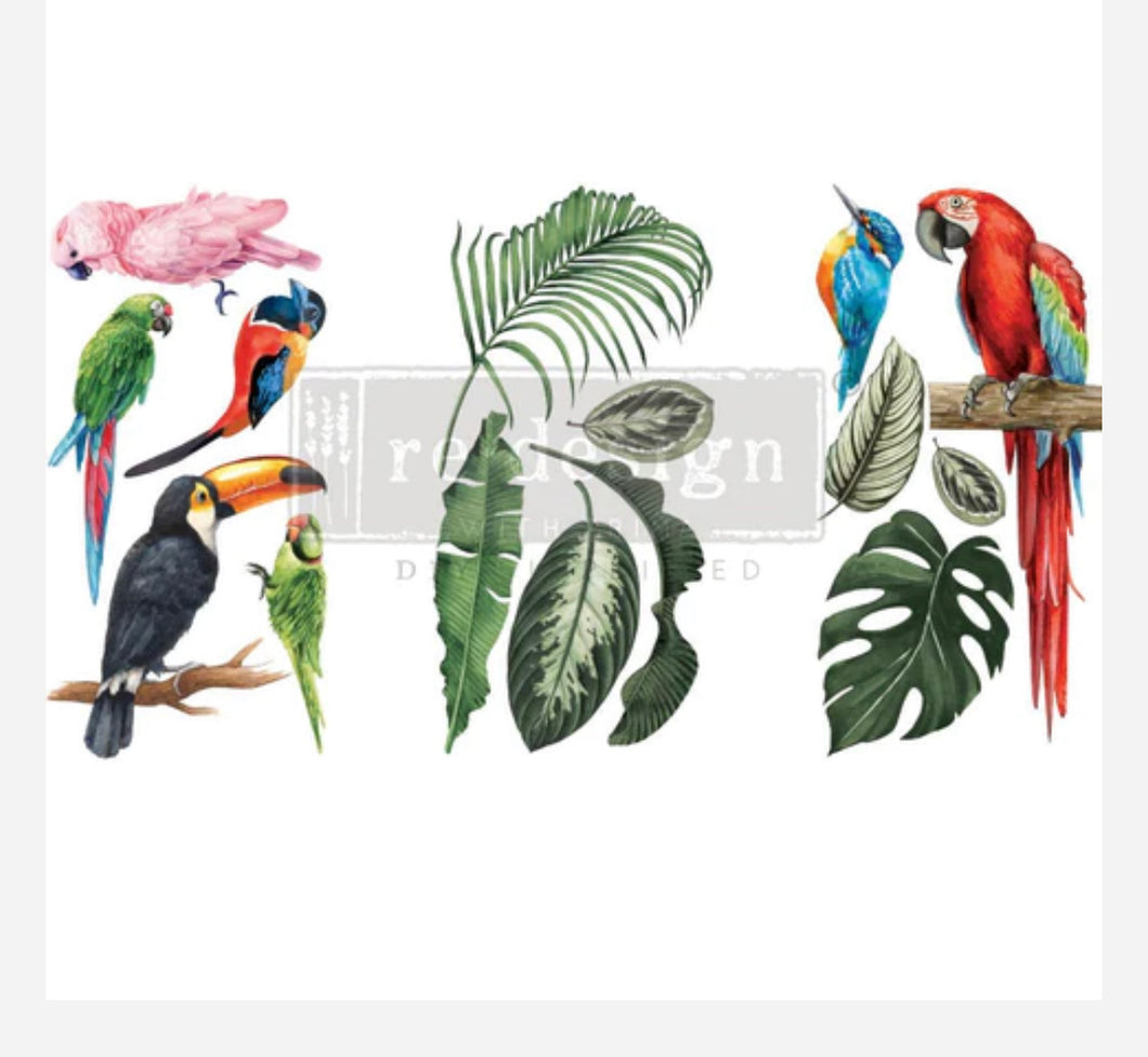 Redesign transfer Tropical Birds