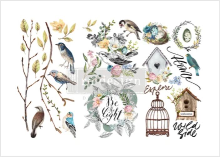 Redesign Decor Transfers - Garden Marvels