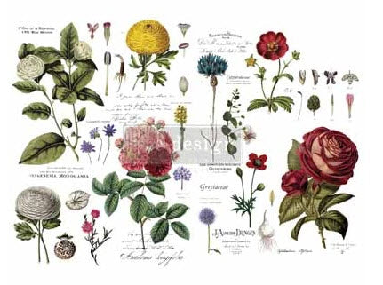 Redesign Decor Transfers - Vintage Botanical